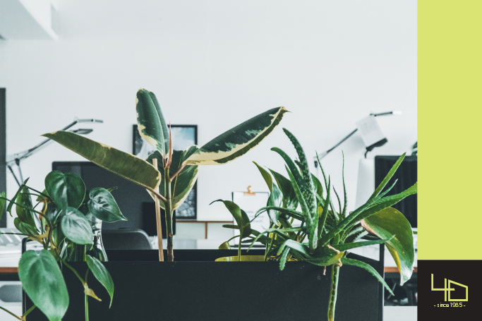 Biofilia no escritório: como incluir natureza nos projetos e melhorar bem-estar, foco e experiência do ambiente em 2026